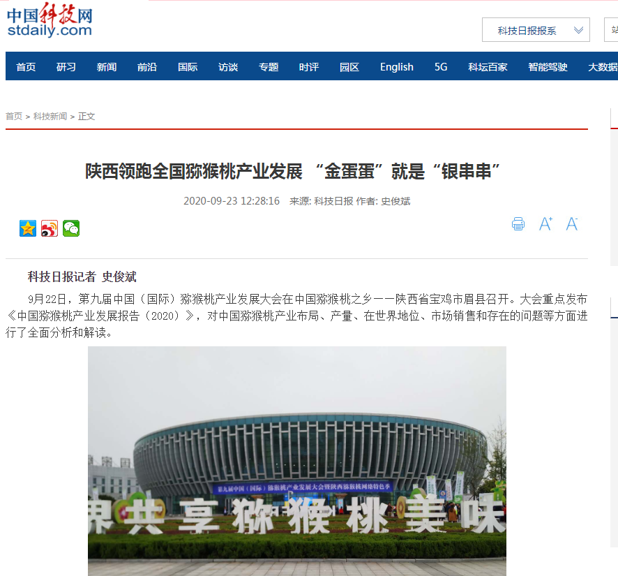 1600842157430029818.jpg 9.23中国科技网陕西领跑全国猕猴桃产业发展