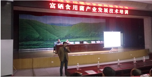 QQ截图20161102090253