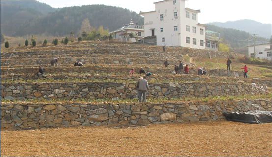 QQ图片20170302200919