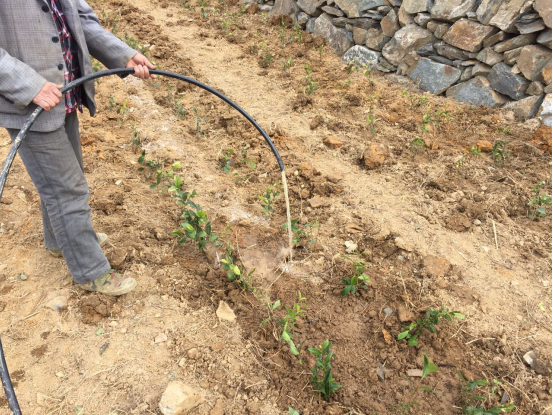 QQ截图20170303140731