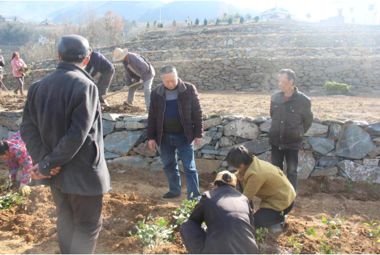 QQ截图20170303140715