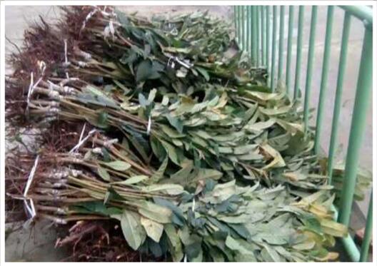 QQ截图20170329094524