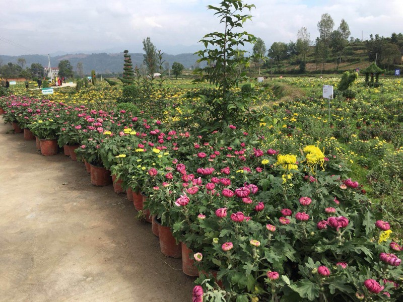 微信图片_20171107145014