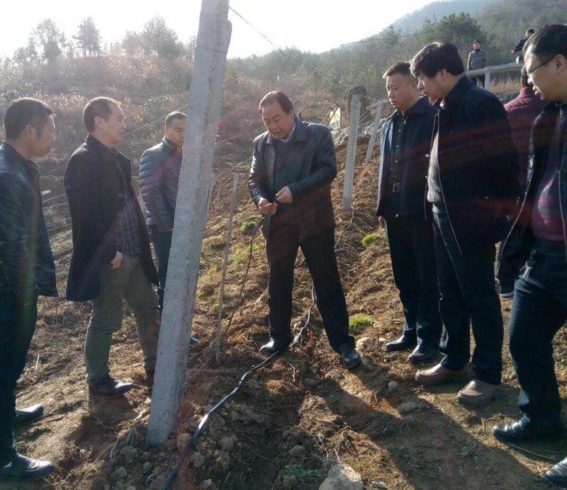 QQ截图20180312164347