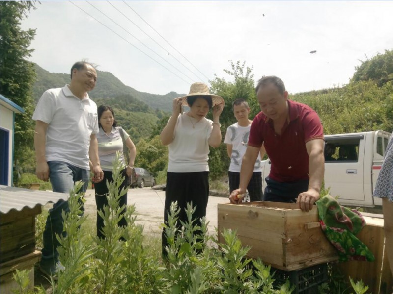 QQ截图20180614225350