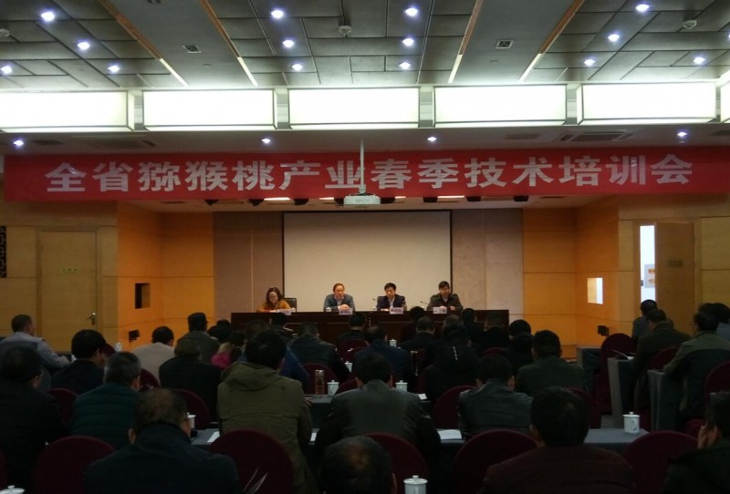QQ截图20180312164319